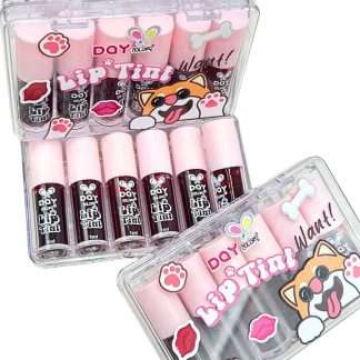 Cajita Tinta Labiales X6