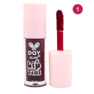 Cajita Tinta Labiales X6